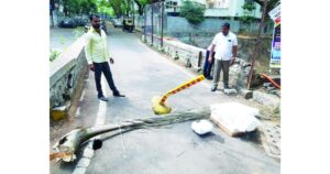 Road-closed-near-Radiant-Paradise