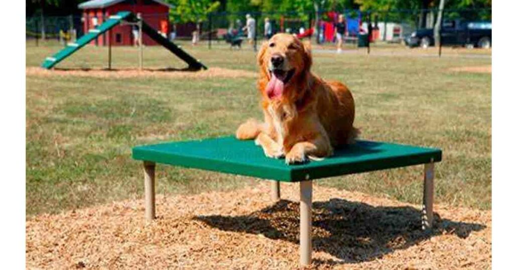 PMC plans to build parks for pets soon