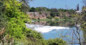 Pune: NGT Forms Expert Committee To Investigate Pavana River Pollution 