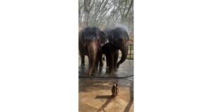 Katraj-zoo-pics-2