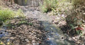 PMRDA's Inaction Sparks Concern Over Illegal Dumping in Ramnadi In Pune, Alleges Activist