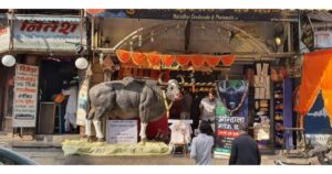 Pune-based-entrepreneur-installs-a-replica-of-Gaur-seeks-apology-for-being-unable-to-save-him1