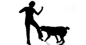 dog-bite