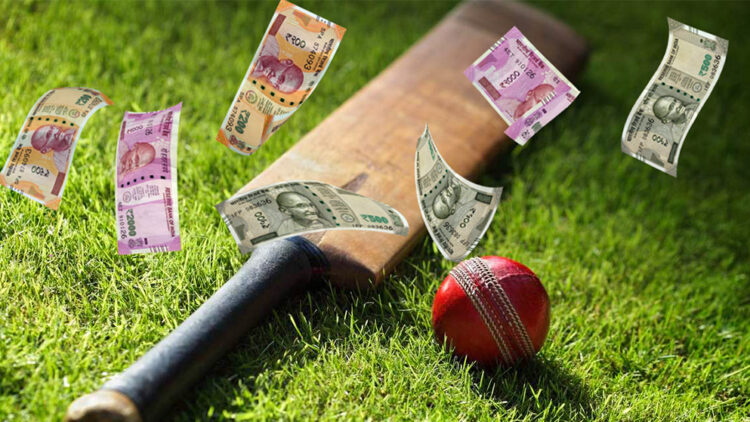Cricket Betting Pune Pulse