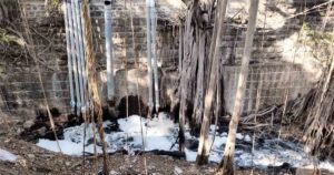 Katraj lake pic1