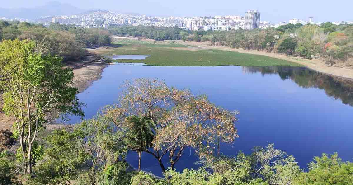 PMC to use drones to spray pesticides over hyacinth to control mosquito menace
