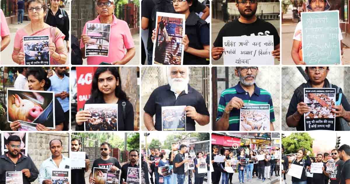 Animal Rights Activists1