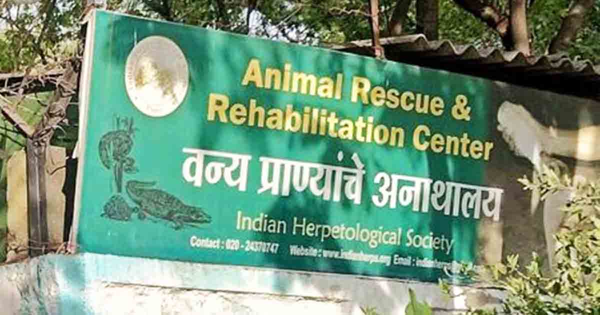 Forest Dept Raises Concerns Over Mismanagement at Katraj Animal Rescue Centre