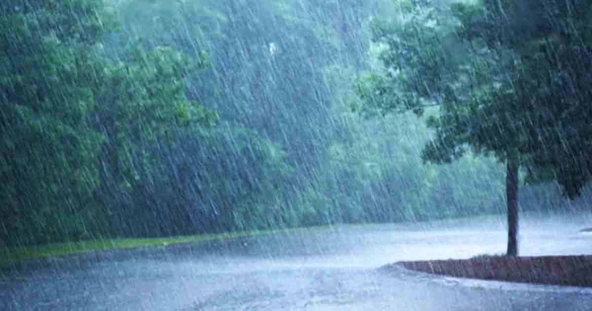 Rain