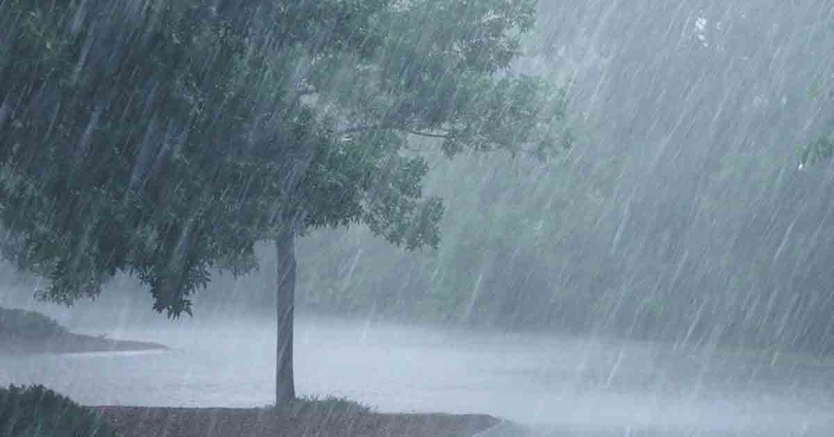 rain