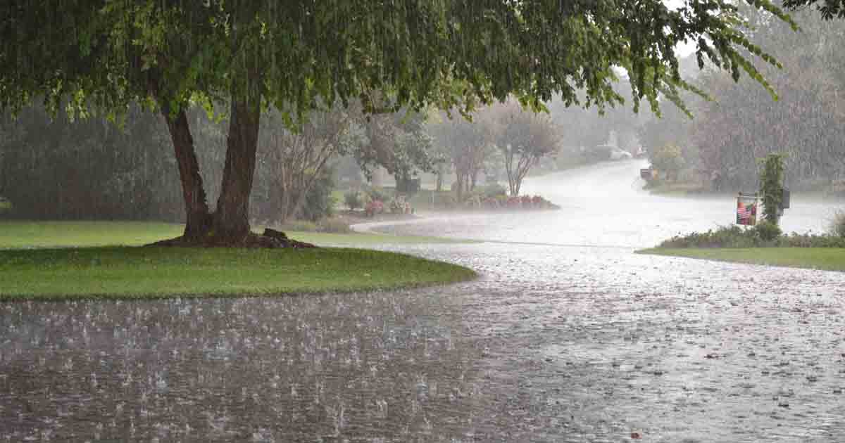 rain3