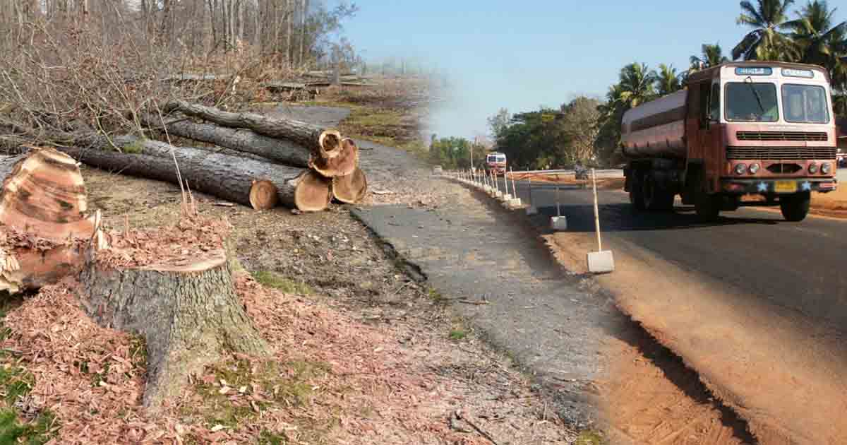 tree cutting