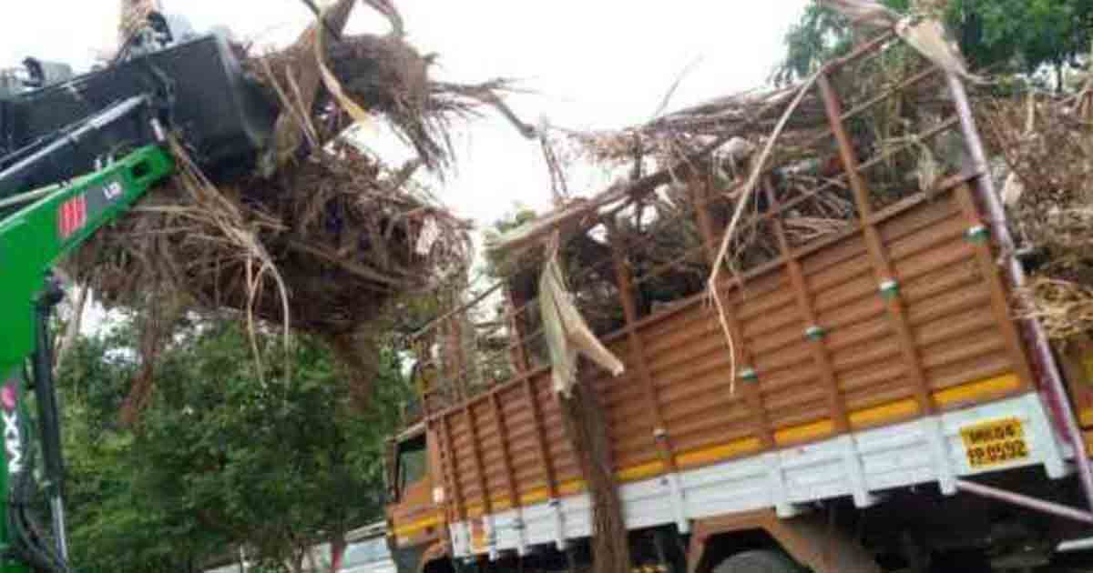 Five Grabber Tractors Deployed to Swiftly Clean Tree Cuttings in Pune City