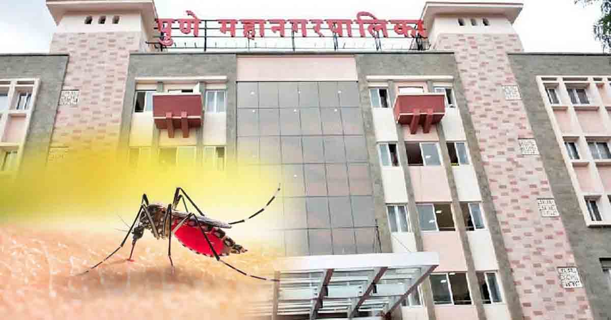 PMC Appeals Medical Practitioners and Pathology Clinics To Update About Water And Vector Borne Diseases