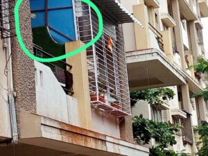 Pune Pulse
