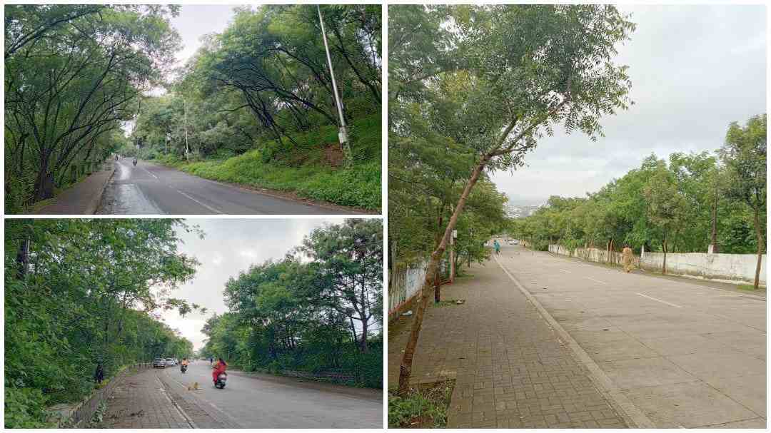 Pune Pulse Green ESR
