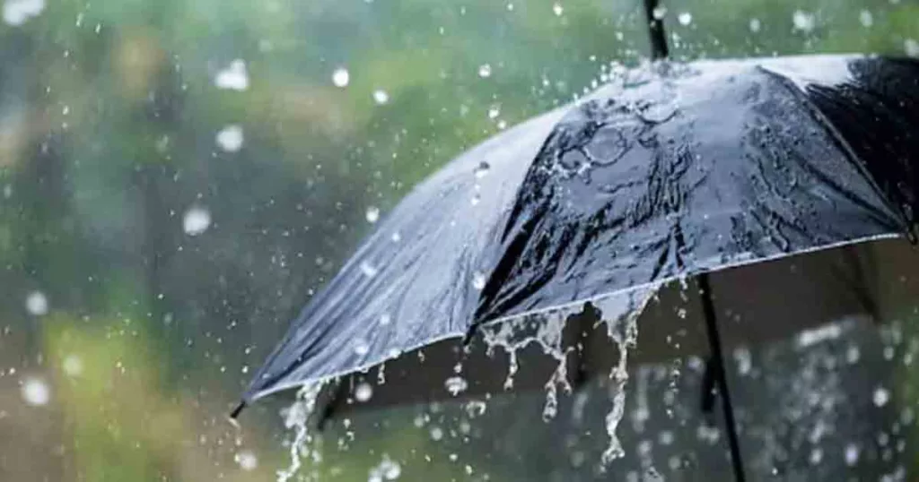 Rain