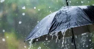 Rain