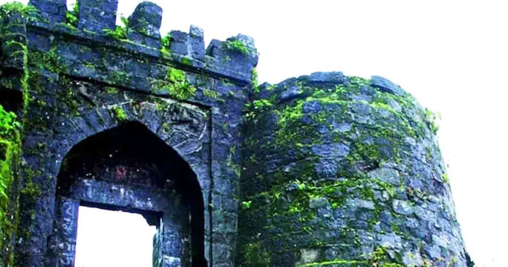 Sinhagad Fort Generates Rs 38,750 in Nuisance Fees via Online Payments, Forest Dept