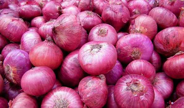 Pune Pulse Onion Price : Restaurants seek alternatives as prices soar
