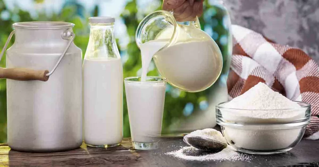 Is It Still Necessary to Boil Pasteurised Milk? Understanding the Science Behind a Traditional Indian Practice