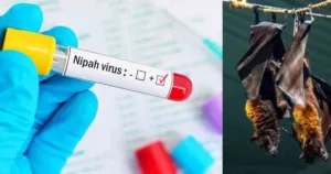 Nipah virus outbreak in Kerala intensifies; sixth case reported