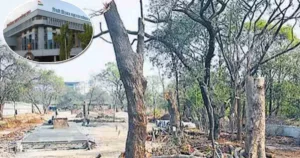 PCMC appoints squad to take action against illegal cutting of trees