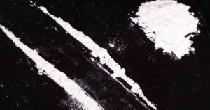Police seizes Mephedrone and Opium worth Rs 3.39 Lakh