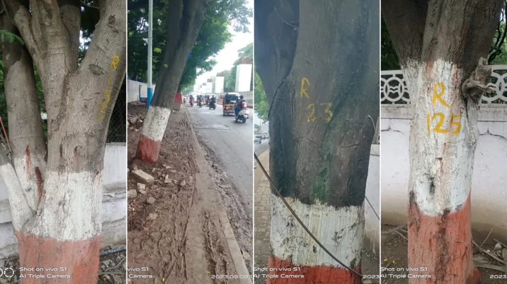 Citizens oppose PMC’s plan to axe 105 trees to widen Ganeshkhind Road