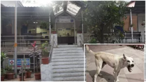 Pune Pulse Pune : Two people unleash dog on MSEDCL staffer for trying to disconnect their power supply