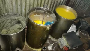 Pune Pulse Chatuhshringi police seize 700 kgs of adulterated ghee in Pashan