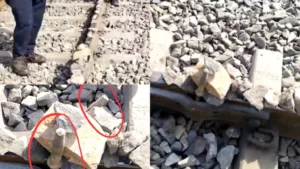 Major Accident Averted As Train Operators Apply Emergency Brakes on Udaipur Jaipur Vande Bharat Express Train