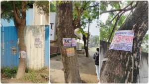 Lohegaon residents raise concern over posters nailed on trees