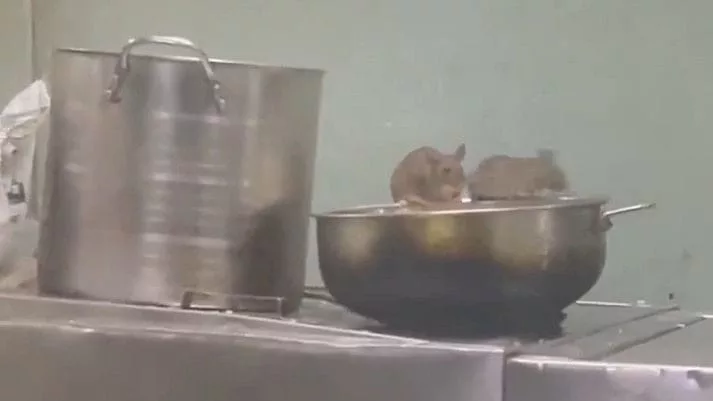 Video surfaces on internet showing rats in pantry car of LTT-Madgaon Express