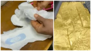 Customs Department seizes gold worth Rs 37.58 lakhs hidden in sanitary pads
