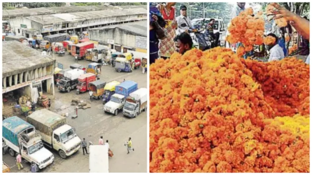 Pune APMC flower market earns Rs 4 crores revenue from flower sale ahead of Dussera