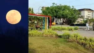 Kojagiri Poornima: PMC extends visiting hours for its garden