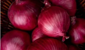 Government imposes minimum export price of $ 800 per tonne on onion till December 31