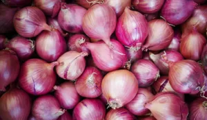 Unidentified thieves steal 25 bags of onions worth Rs 55, 000