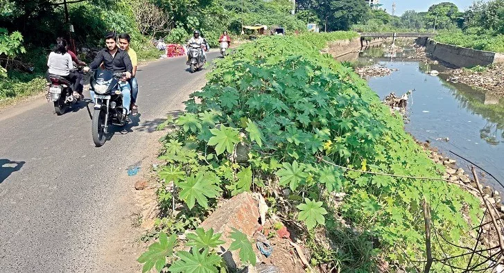 Pune activist opposes Khadakwasla Dam to Phursungi water tunnel project