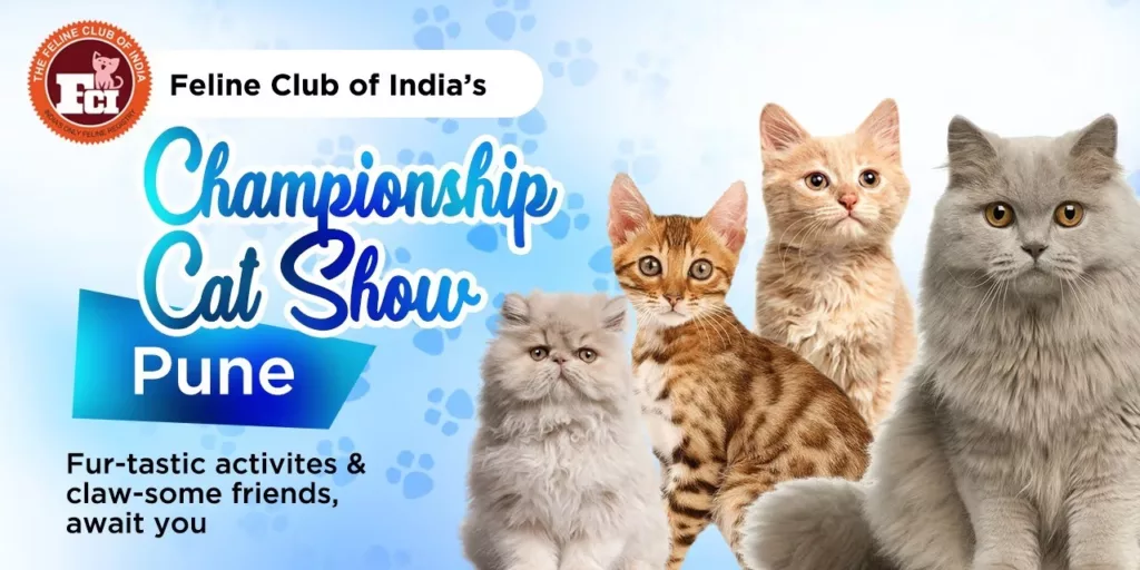 Championship Cat Show' to be held on November 5 in Pune