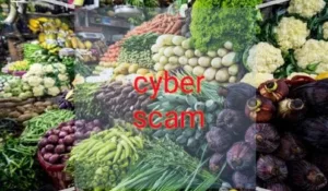 Vegetable vendor becomes cyber scammer ; deceives individuals out of Rs 21 crore in just 6 months