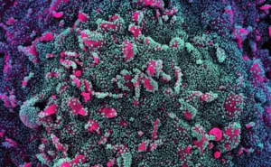 JN.1 new Covid variant leaves scientist worrying