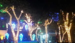 Pune Pulse Nigdi police registers an FIR for illuminating trees without license