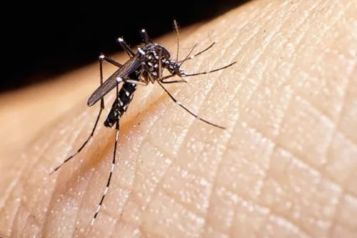 Two Zika virus cases reported in Pune