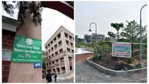 Pune Pulse Pune News : NGT directs Pune district collector & PCMC to maintain trees at Metro Eco Park in Ravet