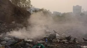 garbage burning cases