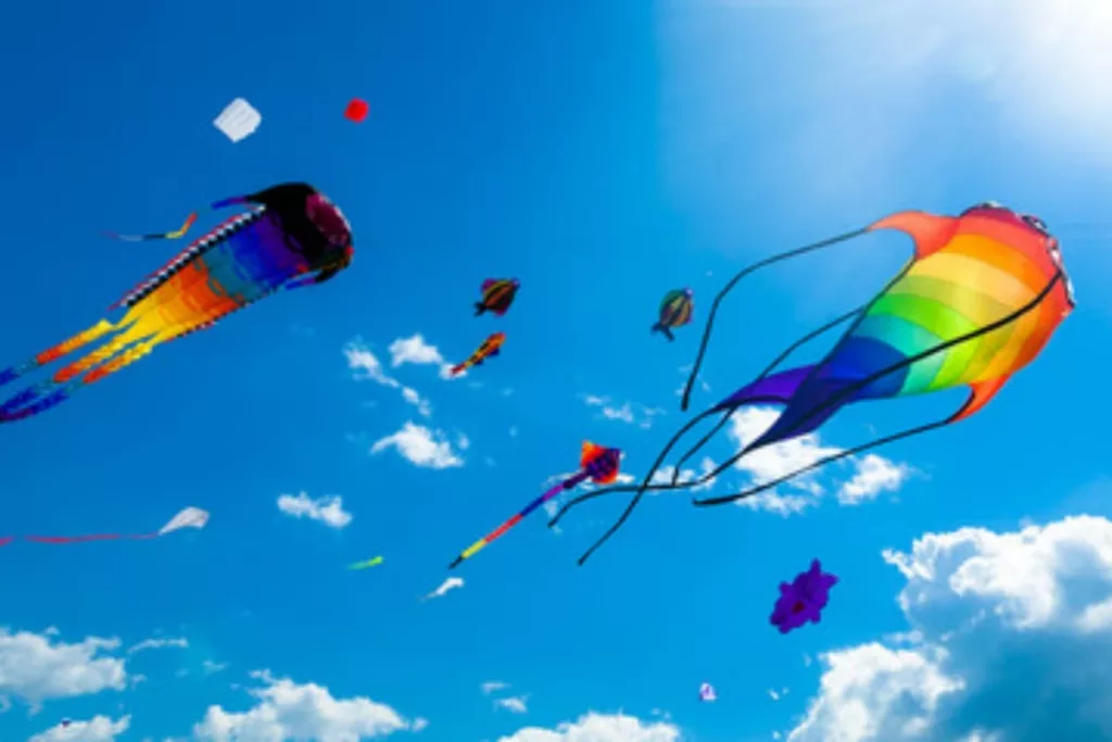 Kite flyers beware! One mistake and straight to jail, no bail either; Police will take action