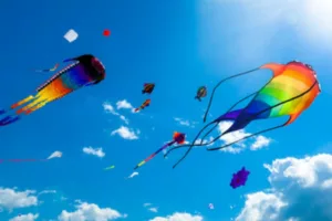 Kite flyers beware! One mistake and straight to jail, no bail either; Police will take action
