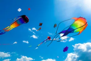 Makar Sankranti 2025: 7 Essential Tips for First-Time Kite Flyers